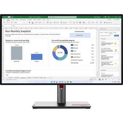 Ein Computerbildschirm zeigt eine Excel-Tabelle mit einem Diagramm und Tabellen. Überschrift: 'Your Monthly Snapshot'. Sprachauswahl oben rechts.