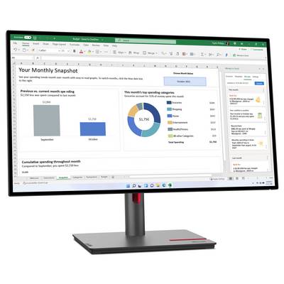 Computerbildschirm mit offenem Tabellenkalkulationsprogramm. Zeigt Monatsübersicht mit Balkendiagrammen und Kreisdiagramm zu Ausgaben.
