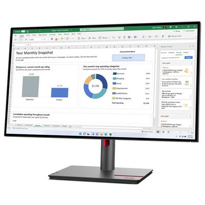 Ein Computermonitor zeigt ein Excel-Tabellenblatt mit Diagrammen und Tabellen zu monatlichen Ausgaben sowie eine Spalte mit Optionen.