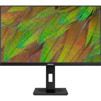 Ein Philips-Monitor zeigt ein hochauflösendes Bild bunter Papageienfedern mit grünen, orangen und roten Tönen.