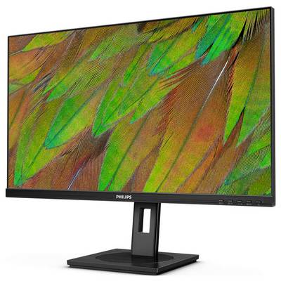 Ein Monitor der Marke Philips zeigt ein farbenfrohes Muster aus grünen und orangefarbenen Federn.