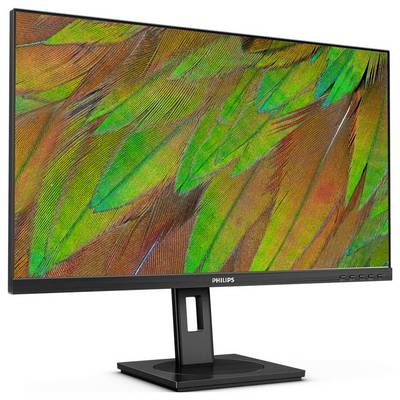 Ein Computermonitor mit einem Bildschirm, der ein lebhaftes Muster aus grünen und orangefarbenen Federn anzeigt.