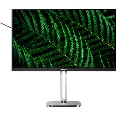 Ein Computerbildschirm der Marke Philips zeigt ein lebhaftes Bild von grünen Farnblättern, die den gesamten Bildschirm ausfüllen.