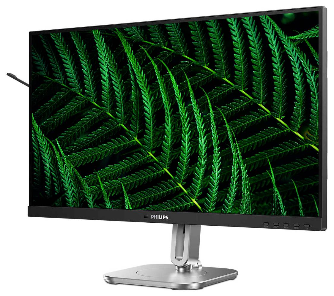 Ein PC-Monitor zeigt ein Bild mit grünen Farnblättern, die detailliert und lebendig dargestellt sind. Der Bildschirm steht auf einem silbernen Ständer.