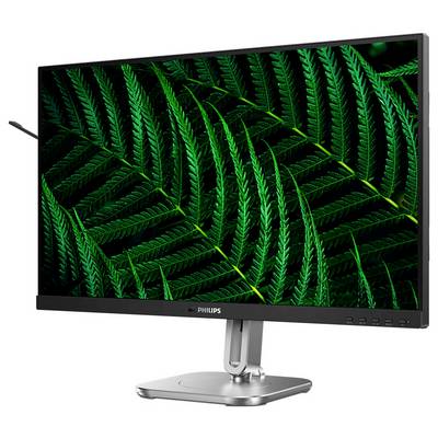 Ein PC-Monitor zeigt ein Bild mit grünen Farnblättern, die detailliert und lebendig dargestellt sind. Der Bildschirm steht auf einem silbernen Ständer.