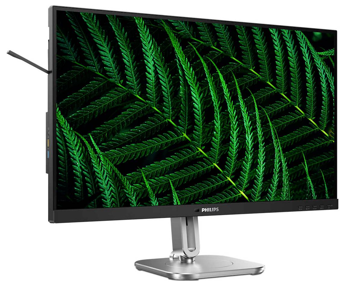 Philips Monitor mit einem Bildschirm, der lebendige grüne Farnblätter zeigt. Dezentes, modernes Design mit schmalem Rand.