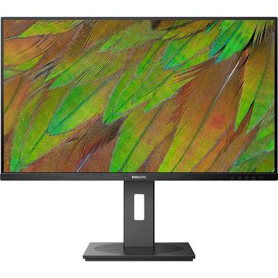 Ein Monitor mit einem lebhaften Bild von grünen und orangefarbenen Federn. Der Bildschirm zeigt klare, scharfe Details.