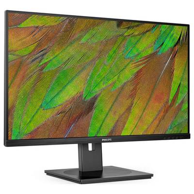 Ein schwarzer Computermonitor zeigt ein Bild von bunten, grünen und orangefarbenen Papageienfedern.