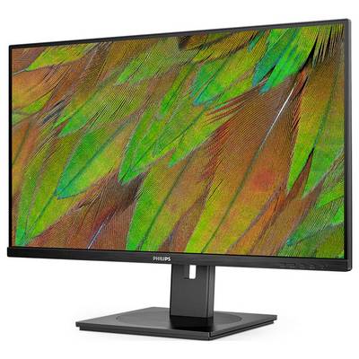 Ein Computermonitor mit leuchtendem, farbenfrohem Bild von Federn auf dem Bildschirm.