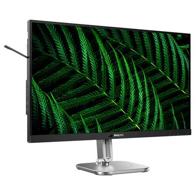 Ein Philips-Monitor mit einem beeindruckenden Display, das ein lebendiges Bild von grünen Farnen zeigt.