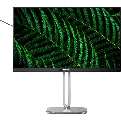Philips Monitor mit grünem Farn auf dem Bildschirm. Schmaler Rand, schlanker Metallständer.