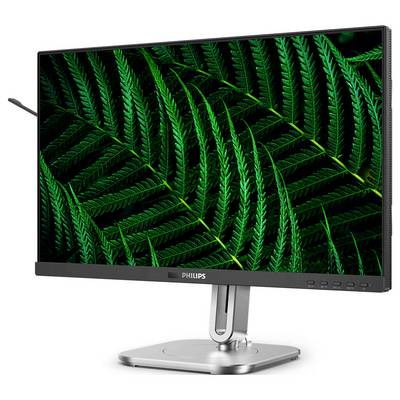 Ein Computerbildschirm mit einem grünen Farnmuster auf dem Display. Bildschirmmarke: Philips.