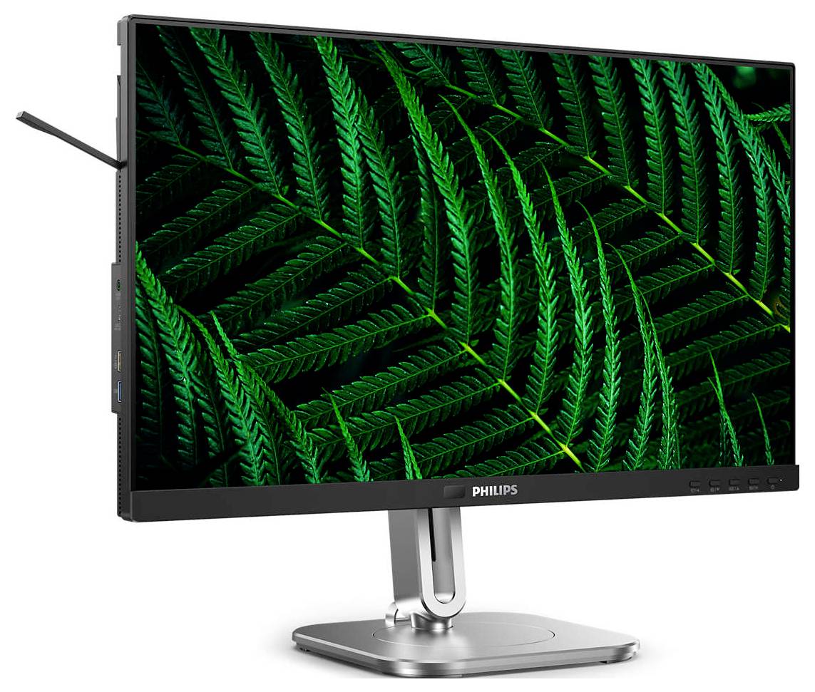 Ein Monitor von Philips zeigt ein lebhaftes Bild von grünen Farnblättern, das den Bildschirm vollständig ausfüllt.