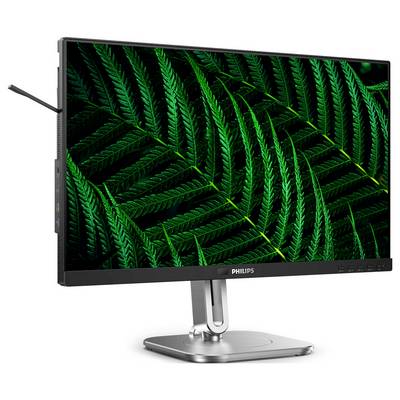 Ein Monitor von Philips zeigt ein lebhaftes Bild von grünen Farnblättern, das den Bildschirm vollständig ausfüllt.