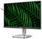 Ein Computermonitor mit einem grünen Farnmotiv auf dem Bildschirm. Der Monitor hat einen silbernen Standfuß und schmale Ränder.