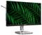 Ein Computerbildschirm der Marke Philips zeigt ein lebhaftes, grünes Farnmuster auf dem Display.