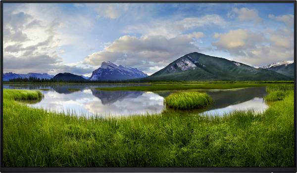 Dell P2425HEWO LED-Monitor  EEK D (A - G) 61 cm (24 Zoll) 1920 x 1080 Pixel 16:9 8 ms DisplayPort, HDMI® IPS LED