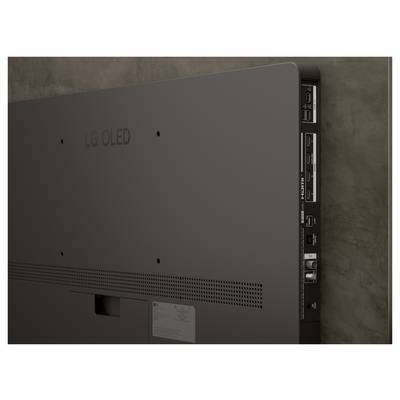 Rückansicht eines schlanken, wandmontierten LG OLED-Fernsehers mit verschiedenen HDMI- und USB-Anschlüssen auf dem Seitenbereich.