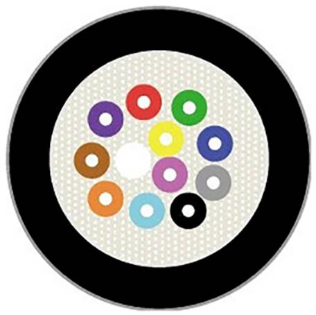Ein Kreisdiagramm mit einem schwarzen äußeren Ring und 12 kleineren farbigen Kreisen in der Mitte, die jeweils eine andere Farbe haben, vor einem gepunkteten Hintergrund.