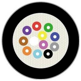 Ein Kreisdiagramm mit 12 farbigen Kreisen auf einem weißen Gitterhintergrund, wobei jeder Kreis eine andere Farbe hat und im Uhrzeigersinn angeordnet ist.