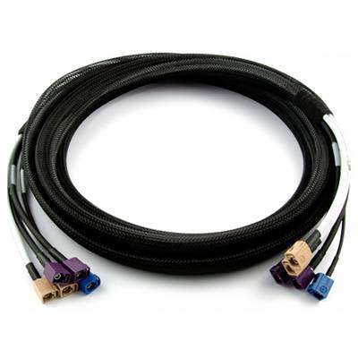 Schwarzes, ummanteltes Kabel mit mehreren farbigen Steckern an einem Ende. Geeignet für technische Anwendungen oder Verbindungen.