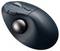 Dunkelgraue ergonomische Trackball-Maus mit silbernem Trackball oben, zwei Tasten und Scrollrad. Ideal für präzise Steuerung.