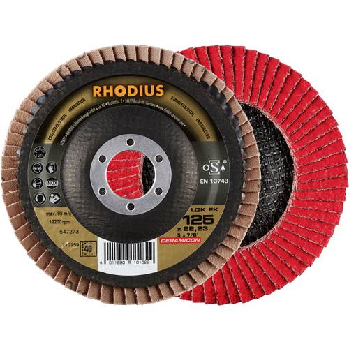 Rhodius 210259 LGK FK Fächerschleifscheibe Edelstahl, Stahl 10 St.