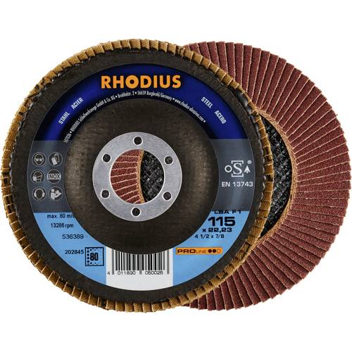 Rhodius 202845 LSA F1 Fächerschleifscheibe Stahl 10 St.