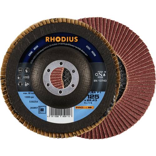 Rhodius 202857 LSA F1 Fächerschleifscheibe Stahl 10 St.