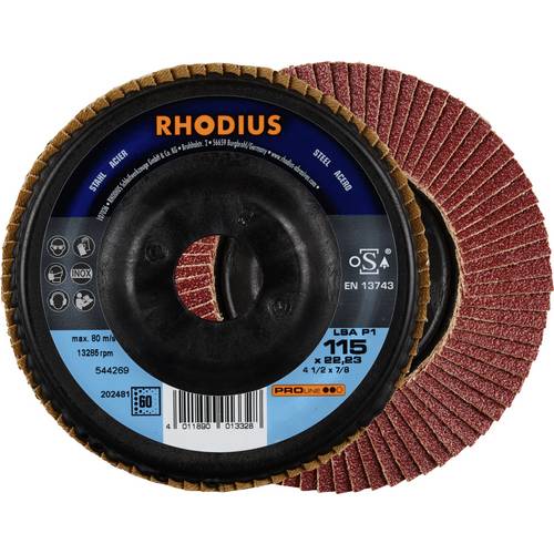 Rhodius 202481 LSA P1 Fächerschleifscheibe Stahl 10 St.