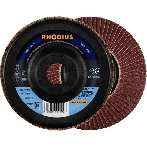 Rhodius 202595 LSA P1 Fächerschleifscheibe Stahl 10 St.