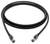 Schwarzes Ethernet-Kabel mit zwei Steckern, gewickelt auf weißem Hintergrund.