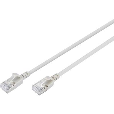 Zwei weiße Netzwerkkabel mit RJ45-Steckern, bereit für den Anschluss in einem IT-Umfeld oder zur Verbindung von Geräten im Heimnetzwerk.