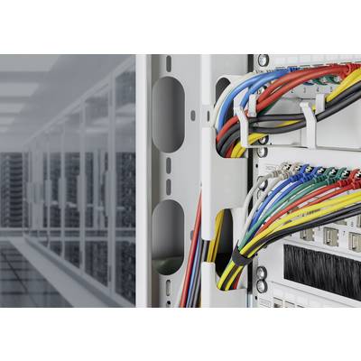 Nahaufnahme eines Serverraums mit bunten Kabeln, die in ein Patchpanel münden. Rechts sind Kabeldetail, links Serverracks sichtbar.