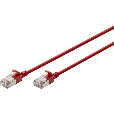 Zwei rote Ethernet-Kabel liegen parallel nebeneinander, jeweils mit transparenten Steckern an den Enden.