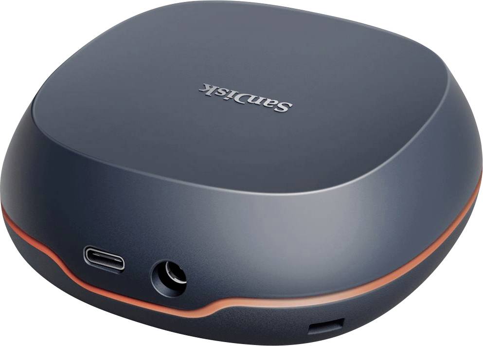 SanDisk 4 TB Externe SSD USB-C® (USB 3.2 Gen 2) Grau SDSSDT40-4T00-EM25