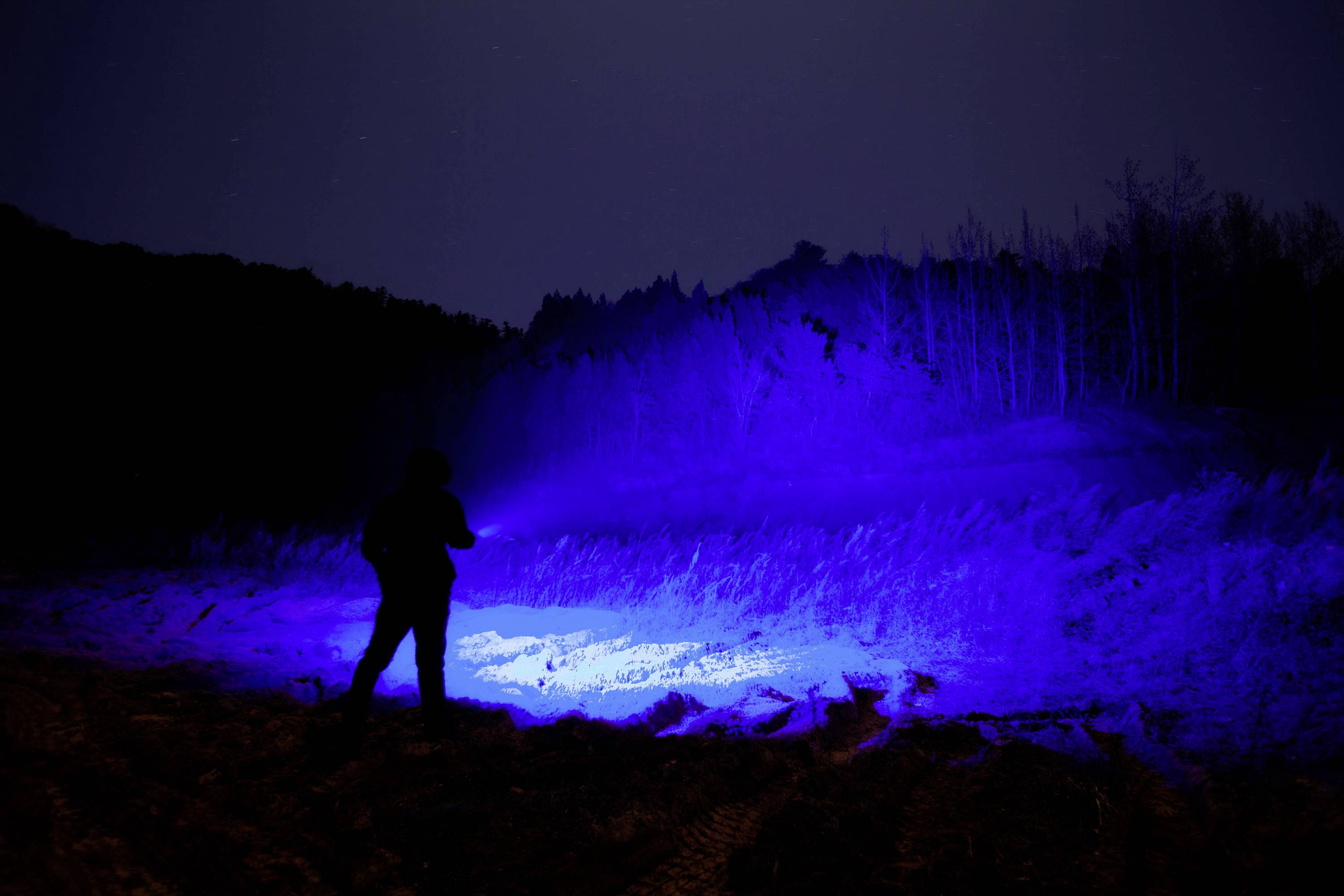 Eine Person steht nachts im Freien und beleuchtet mit einer Taschenlampe eine Landschaft. Die Umgebung ist in blauem Licht getaucht.