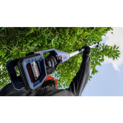 Eine Person schneidet mit einer blauen elektronischen Teleskop-Heckenschere Äste von einem hohen Baum ab, blauer Himmel im Hintergrund.