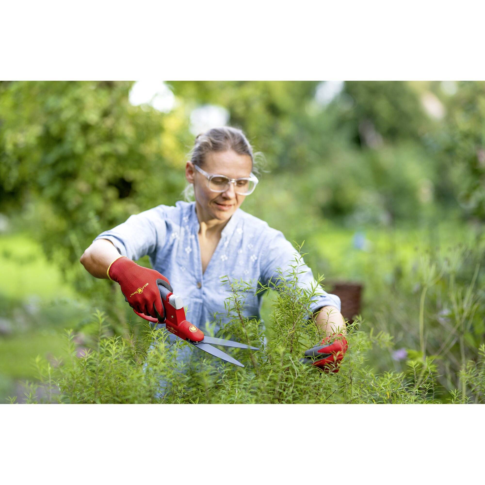 Eine Person schneidet mit einer Heckenschere Pflanzen im Garten. Sie trägt rote Handschuhe und eine Brille. Umgebung ist grün und blühend.