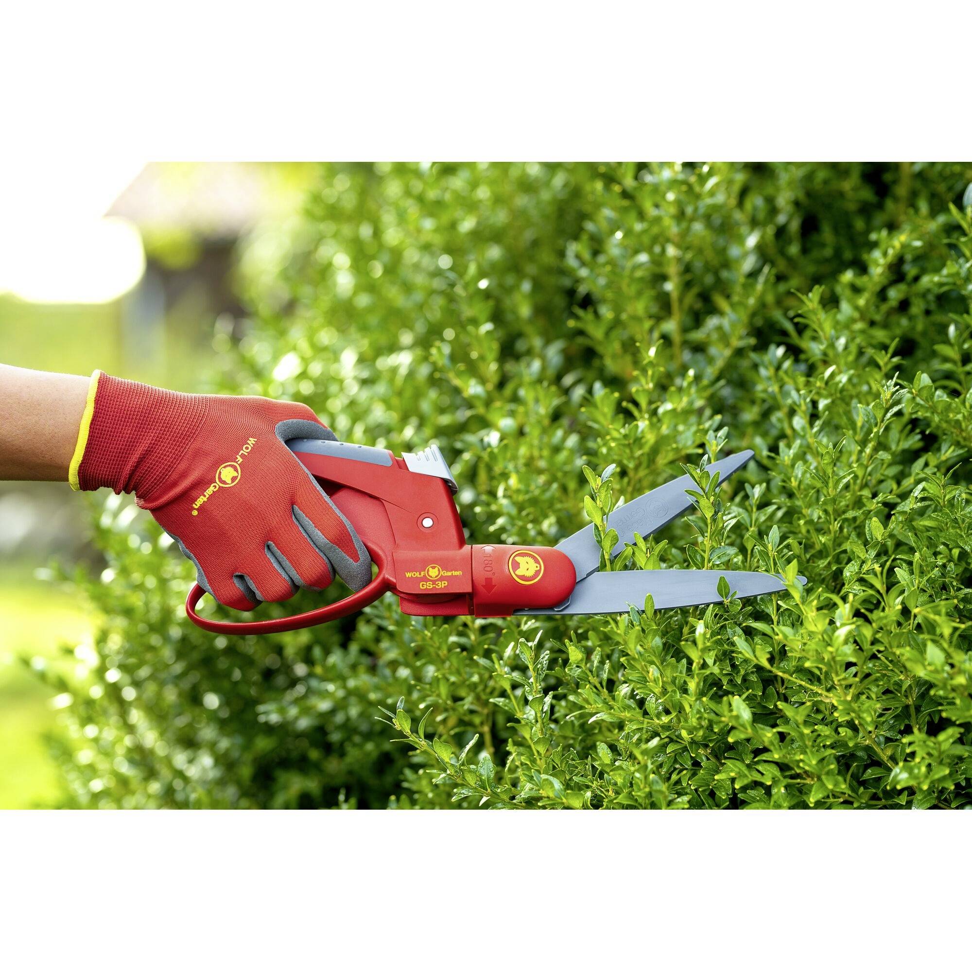 Eine Person schneidet eine Hecke mit einer roten Heckenschere. Die Schere hat scharfe, silberne Klingen und die Person trägt rote Handschuhe.