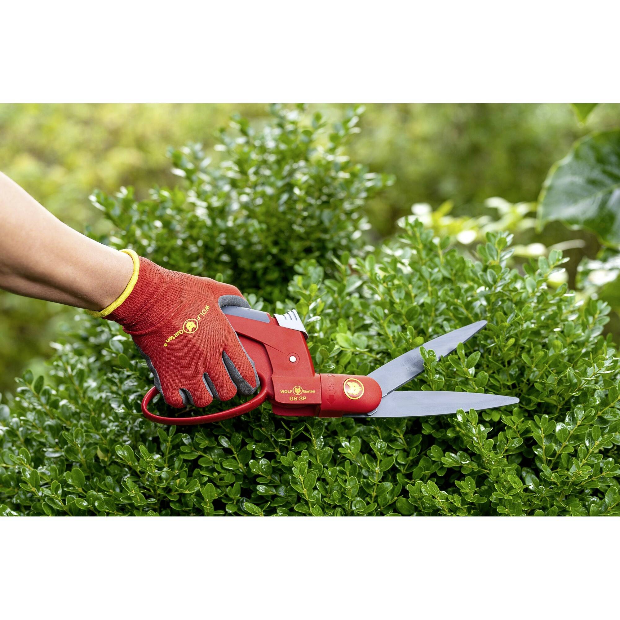 Eine behandschuhte Hand schneidet mit einer roten Heckenschere einen grünen Busch. Die Szene zeigt Gartenarbeit im Freien.