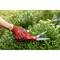 Eine behandschuhte Hand schneidet mit einer roten Heckenschere einen grünen Busch. Die Szene zeigt Gartenarbeit im Freien.