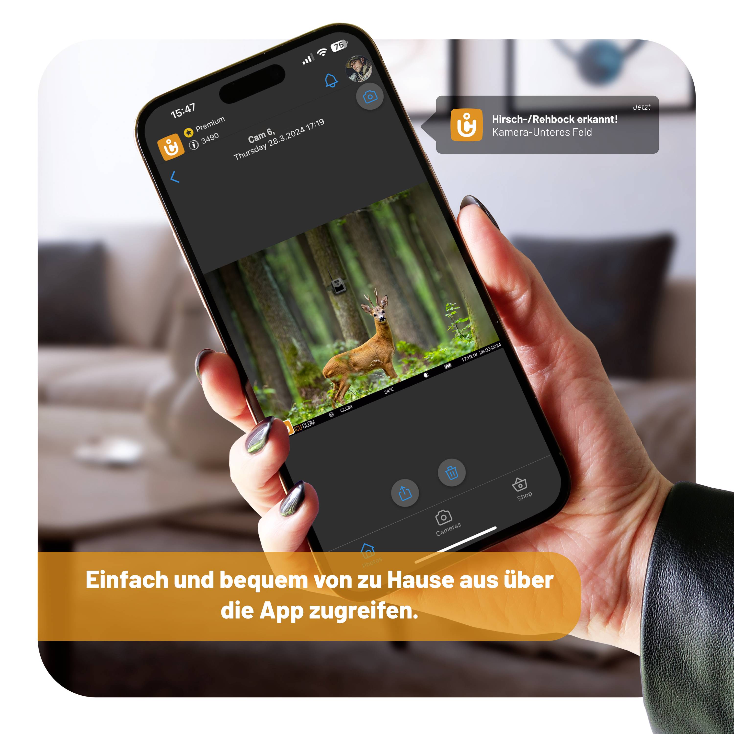 Eine Hand hält ein Smartphone, das ein Foto eines Rehs im Wald zeigt. Text auf dem Bildschirm: 'Kamera: Rehbock erkannt'.
