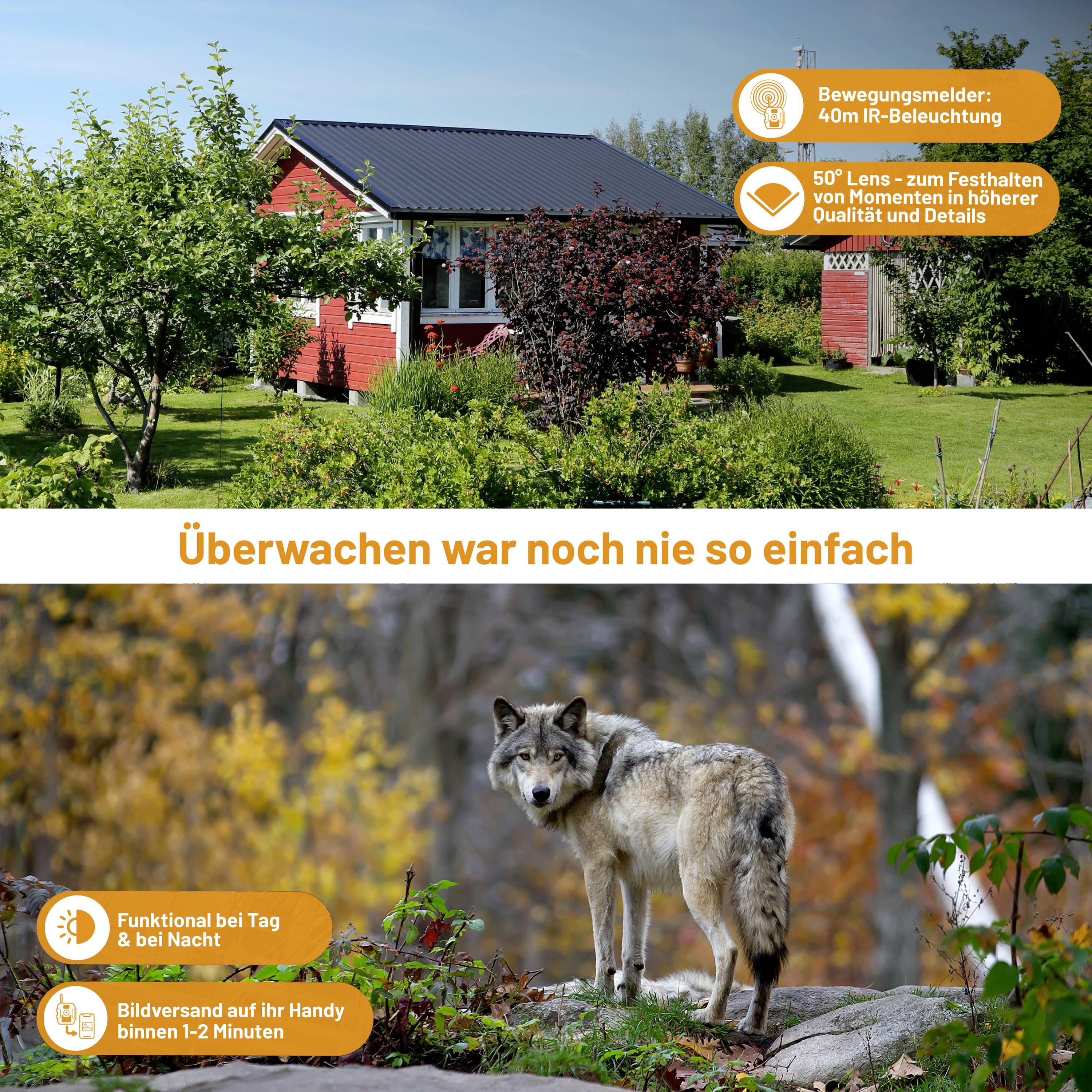 Ein Wolf steht auf einer Wiese vor einem rot gestrichenen Haus. Text informiert über Sicherheitsüberwachung mit Bewegungssensor und HD-Aufzeichnung.