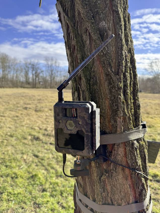 Eine Wildkamera ist an einem Baum befestigt, um Tiere in freier Wildbahn zu beobachten. Sie hat eine Antenne und ist an einem sonnigen Tag angebracht.