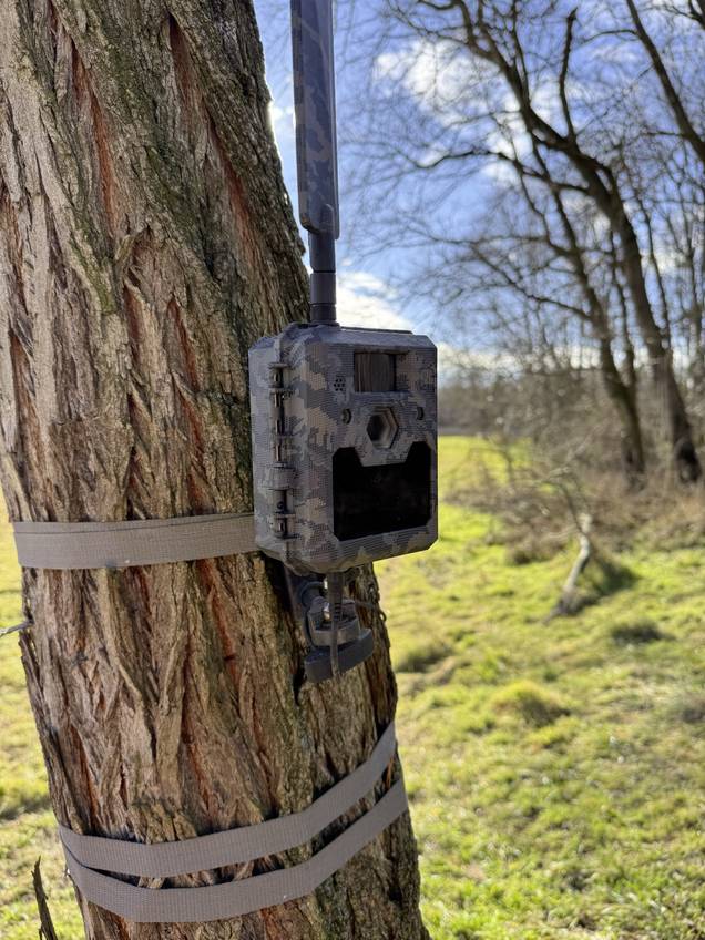 Eine Wildkamera ist an einem Baum in einer offenen Wiese befestigt. Im Hintergrund sind mehrere Bäume unter einem blauen Himmel zu sehen.