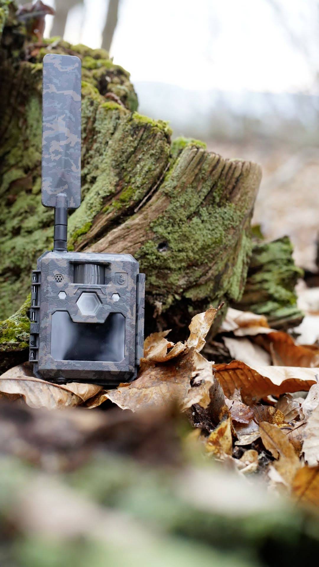 Wildkamera mit Tarnmuster, montiert auf Laub, Baumstamm im Hintergrund. Sie dient zur Überwachung von Wild in natürlichen Umgebungen.