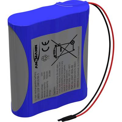 Blauer Lithium-Ionen Akku mit zwei Kabeln, einer roten und einer schwarzen. Etikett zeigt Spezifikationen und Warnhinweise.