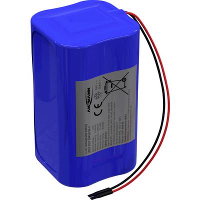 Blauer Lithium-Ionen-Akku mit rotem und schwarzem Kabel, Etikett zeigt Sicherheits- und Recyclinginformationen.