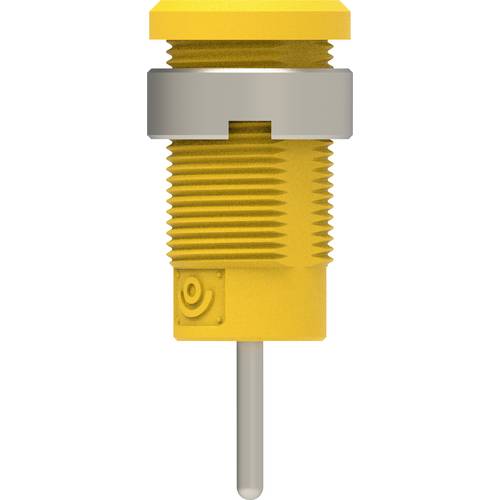 Electro PJP 3267-C-CD1-J Sicherheits-Einbaubuchse Gelb 1 St.